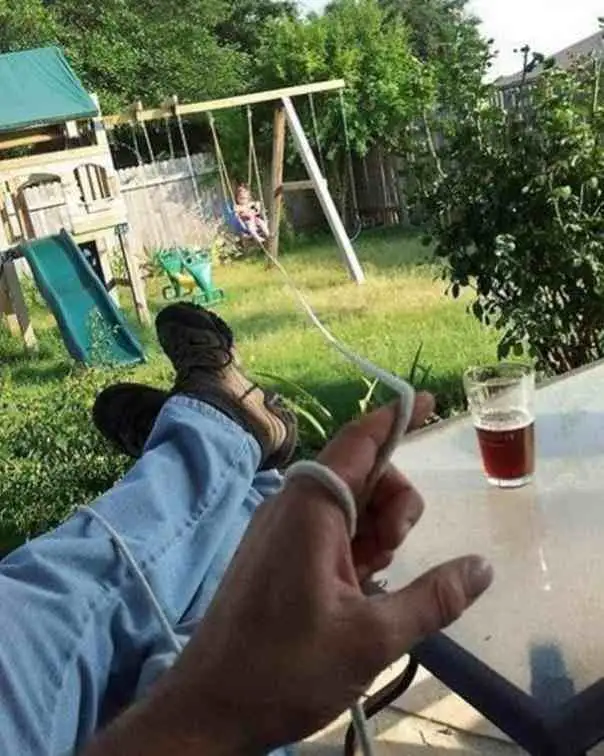 2685.jpg