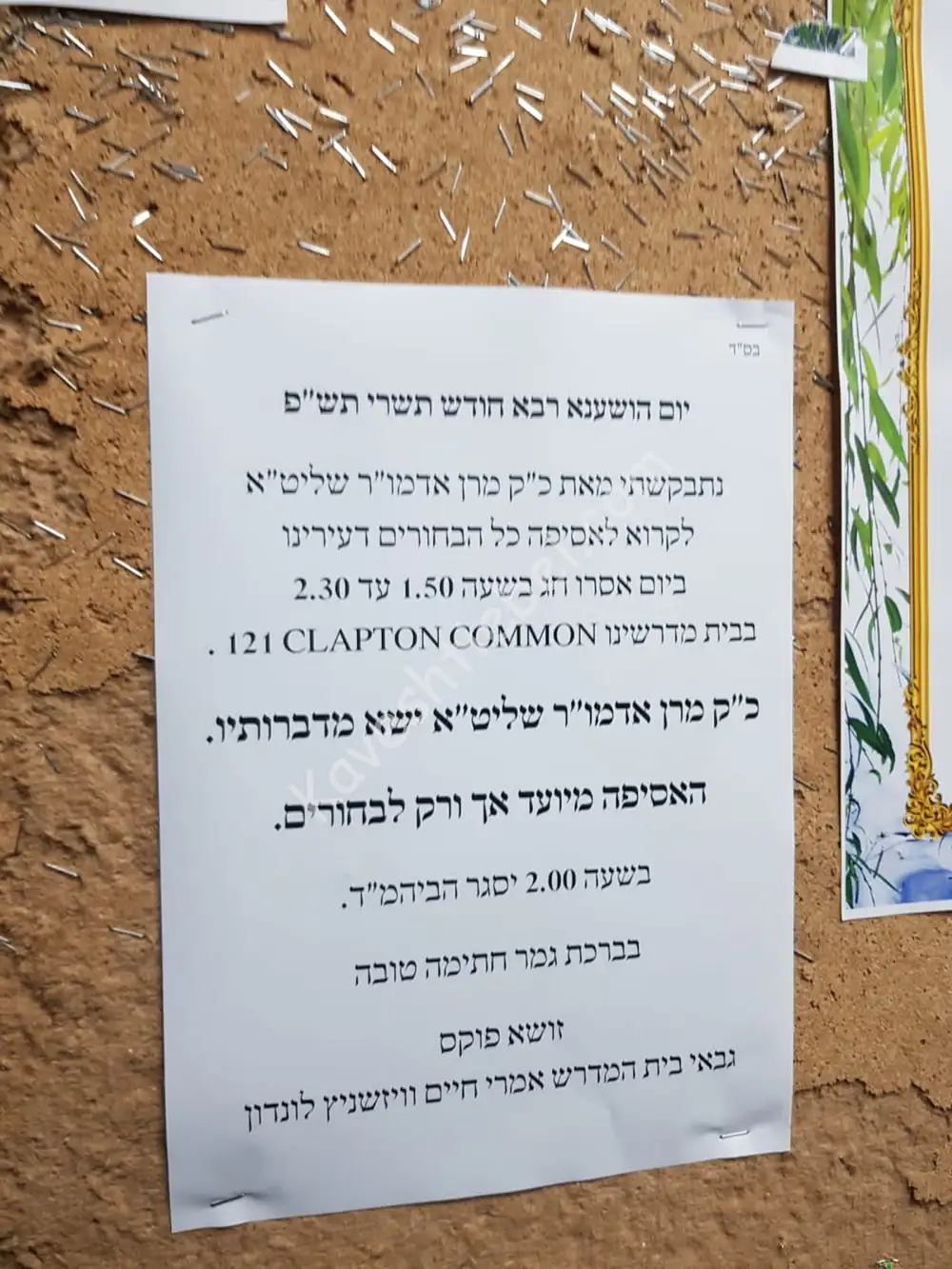 הרבי מלונדון להבחורים.jpg