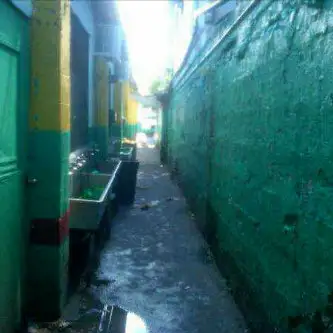 the westeren wall.jpg the westeren wall.jpg