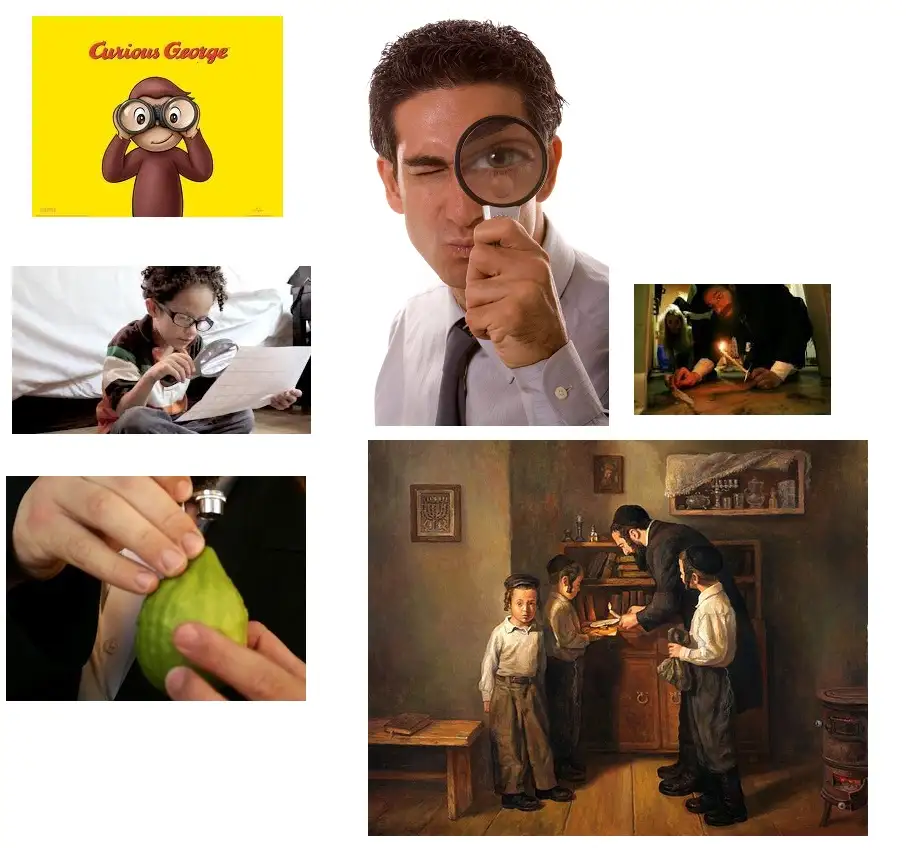 curious.jpg