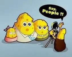 image.jpg