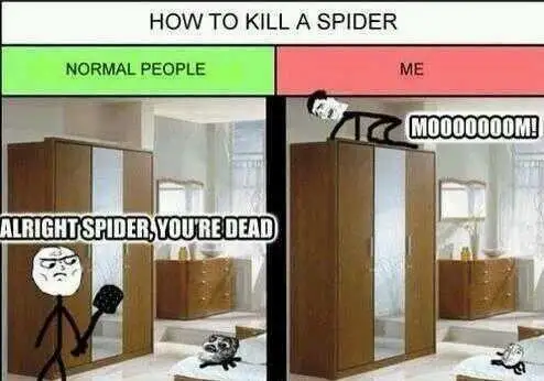 image.jpg