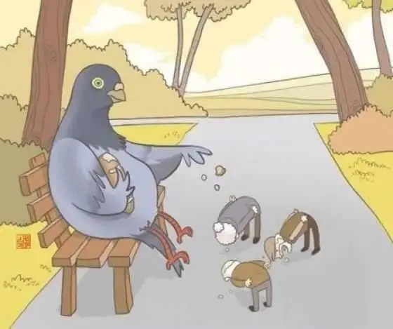 image.jpg