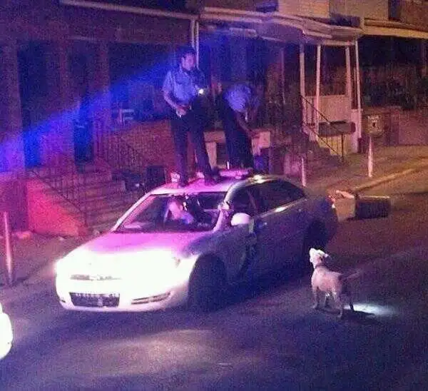 image.jpg